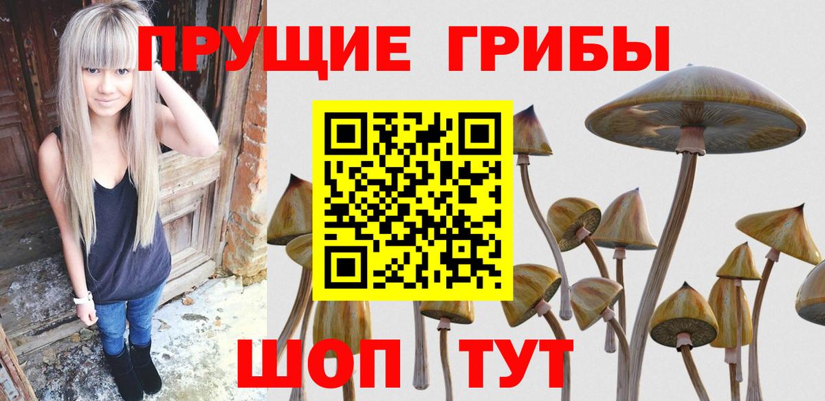 Галлюциногенные грибы ЛСД  Псилоцибиновые грибы GOLDEN TEACHER  Вход с VPN  Симферополь 